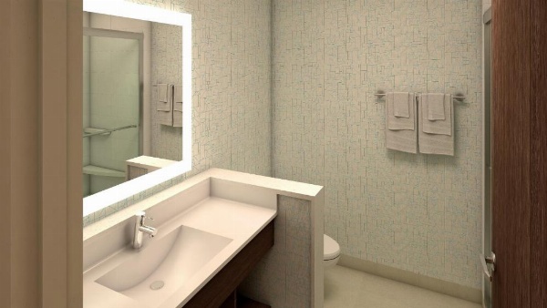 Holiday Inn Express Columbia image 8